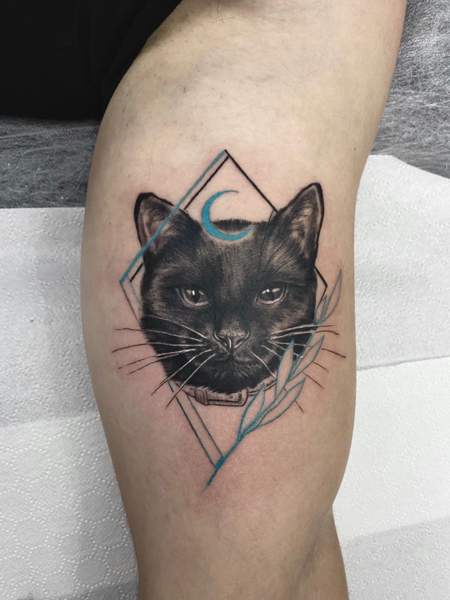 tatuaj pisica, tatuaj pisica neagra, tatuaj color, tatuaj antebrat, tatuaj brat