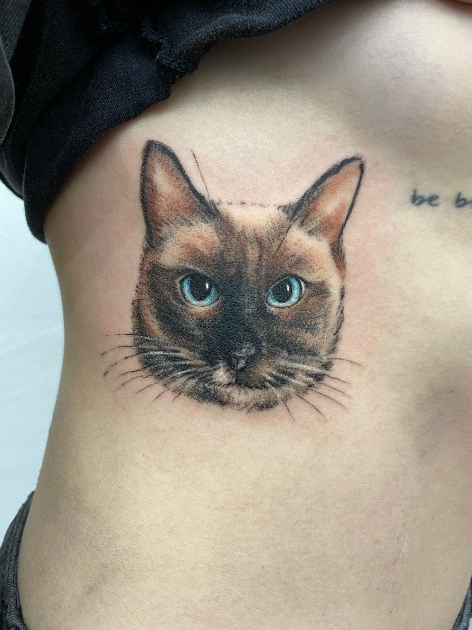 tatuaj cap pisica, tatuaj pisica, tatuaj color, tatuaj birmaneza, tatuaj siameza, tatuaj piept, tatuaj coaste