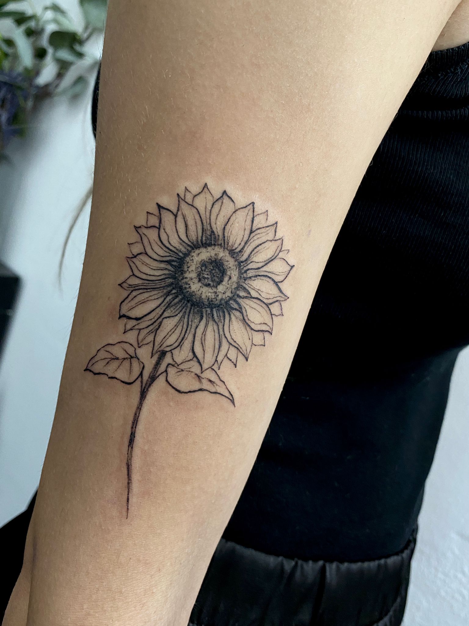 tatuaj floare, tatuaj alb negru floare, tatuaj mana, tatuaj antebrat