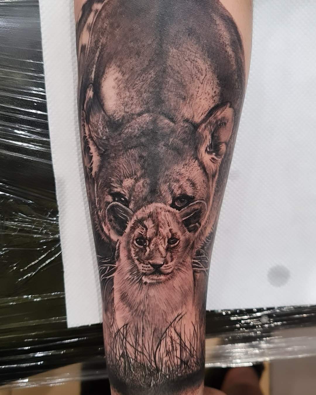tatuaj leoaica cu pui, tatuaj full, tatuaj mare, tatuaj alb negru