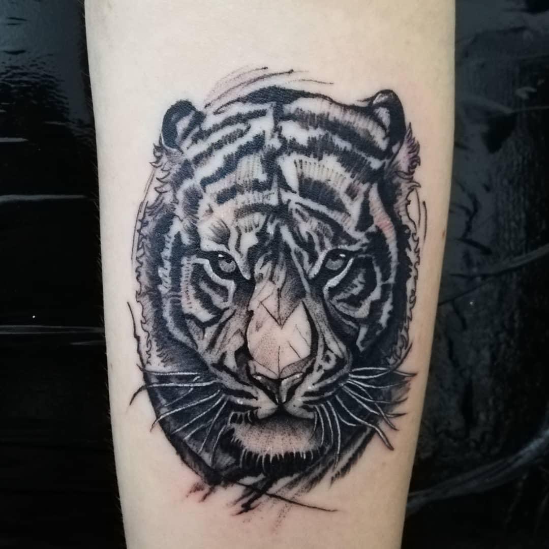 tatuaj tigru, tatuaj alb negru , tatuaj antebrat